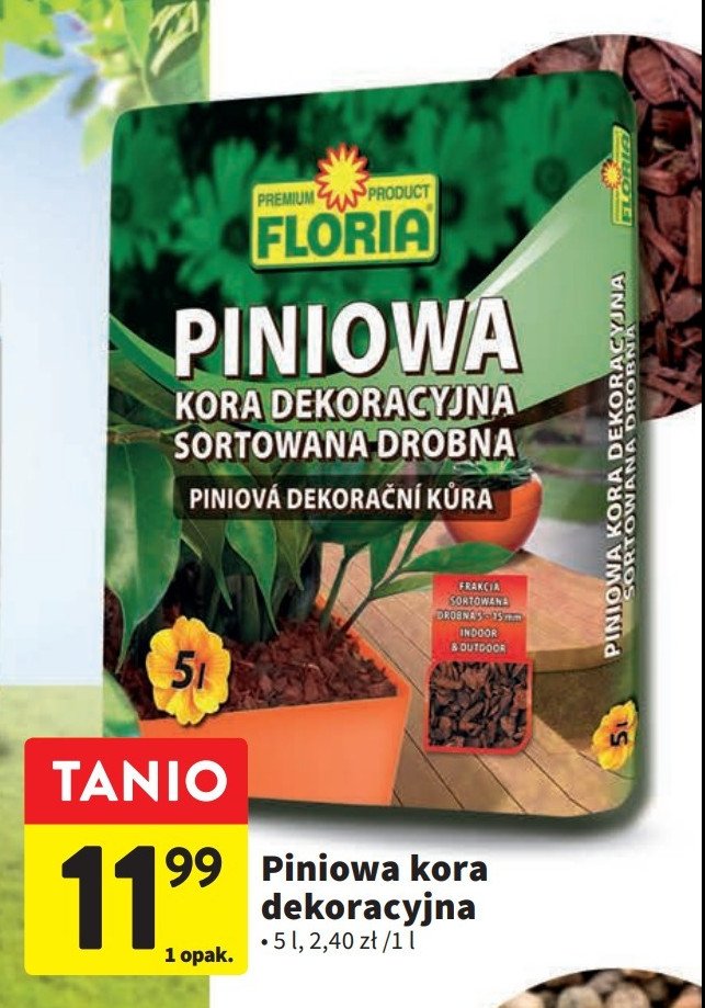 Kora dekoracyjna pniowa FLORIA promocja