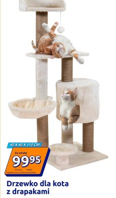 Drzewko dla kota z drapakami 40x40x110 cm promocja w Action