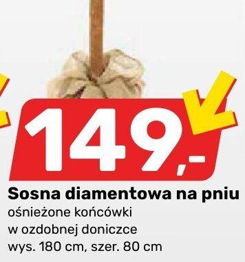 Gazetka, strona 19 promocja w Bricomarche