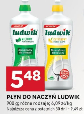Płyn do naczyń Ludwik promocja w Stokrotka