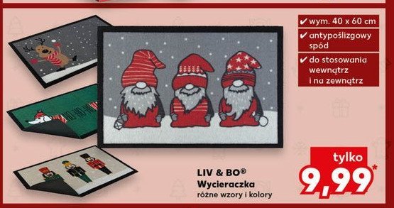 Wycieraczka 40 x 60 cm Liv & bo promocja