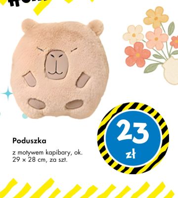 Poduszka z motywem kapibary ok. 29 x 28 cm promocja w Tedi