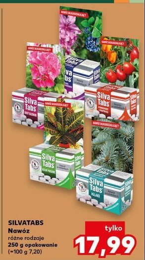 Nawóz w tabletkach do iglaków Silva tabs promocja w Kaufland
