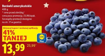 Borówki amerykańskie promocja w Lidl