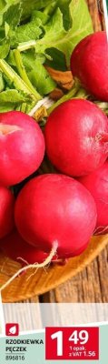 Rzodkiewka pęczek Selgros promocja w Selgros