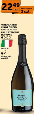 Wino Amanti Pinot Grigio białe wytrawne musujące promocja w Euro Sklep