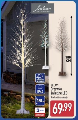 Drzewko świetlne LED promocja w Aldi