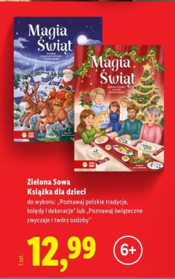 Książka dla dzieci Zielona Sowa - Magia Świąt, Poznawaj polskie tradycje promocja w Lidl