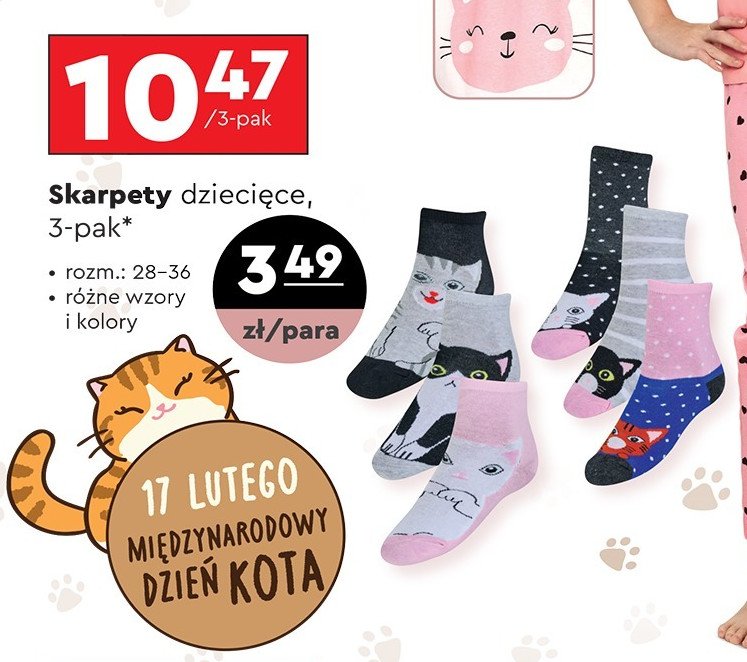 Skarpety dziecięce 28-36 Cleve promocja w Biedronka