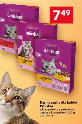 Karma sucha dla kotów Whiskas z kurczakiem promocja w LEWIATAN