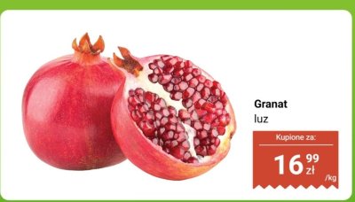 Granat luz promocja w Dino