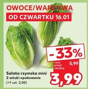 Sałata rzymska mini promocja w Kaufland