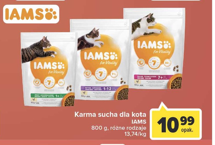 Karma dla kota sucha adult 1-12 Iams for vitality promocja