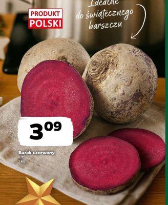 Burak czerwony promocja w Netto