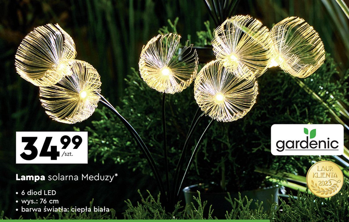 Lampa soladna meduza Gardenic promocja