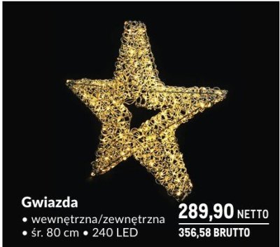 Gwiazda świetlna wewnętrzna/zewnętrzna śr. 80 cm, 240 LED promocja w Makro