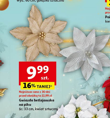 Gwiazda betlejemska na piku 33 cm promocja