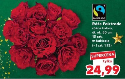 Róże Fairtrade różne kolory, 13 szt. w bukiecie promocja w Kaufland