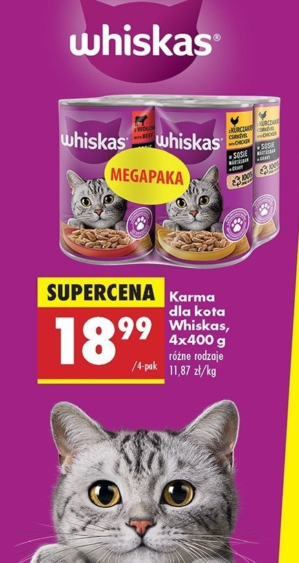 Karma dla kota kurczak + wołowina Whiskas promocja w Biedronka