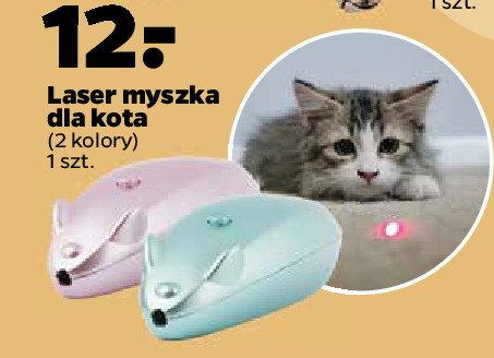 Laser myszka dla kota promocja