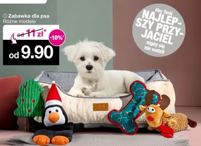 Zabawka dla psa, różne modele promocja w Woolworth