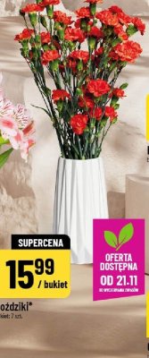 Goździki promocja w POLOmarket