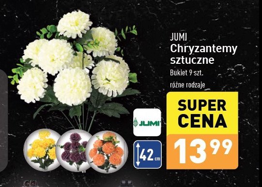 Chryzantema 9-kwiatowa Jumi promocja