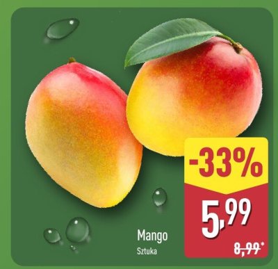 Mango sztuka promocja w Aldi