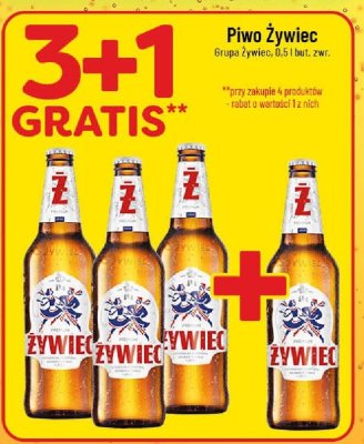 Piwo Żywiec promocja w POLOmarket