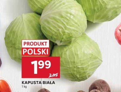 Kapusta biała promocja w Stokrotka