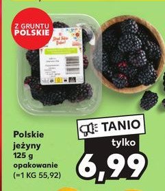 Je偶yny K-classic st膮d takie dobre! promocja