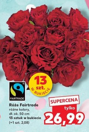 Róże fairtrade promocja w Kaufland