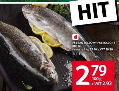 Pstrąg tęczowy patroszony 800 g+ promocja w Selgros