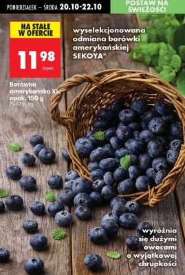 Bor贸wka promocja w Biedronka