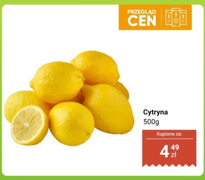 Cytryna 500 g promocja w Dino
