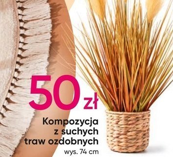 Kompozycja z suchych traw 74 cm promocja