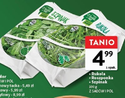 Rukola Z SADÓW I PÓL promocja w Intermarche