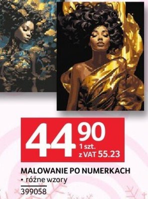 Malowanie po numerkach różne wzory promocja w Selgros