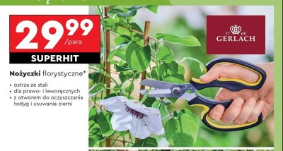 Nożyczki florystyczne Gerlach promocja