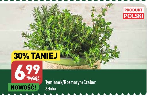 Czaber promocja