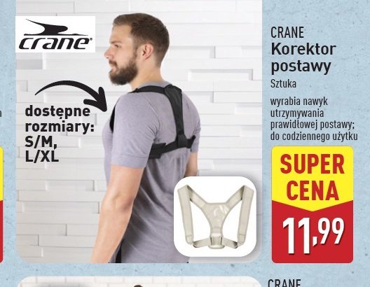 Korektor postawy promocja w Aldi