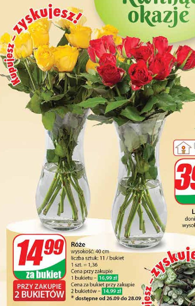 Bukiet róż 40 cm promocja