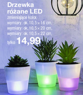 Drzewko led 10.5 x 22 cm promocja
