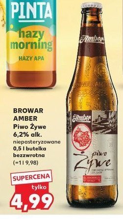 Piwo promocja w POLOmarket