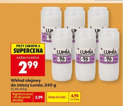 Wkład olejowy do znicza, 240 g promocja w Biedronka