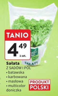 Sałata Z SADÓW I PÓL wybrane rodzaje promocja w Intermarche