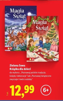 Książka dla dzieci Zielona Sowa - Magia Świąt (różne wydania) promocja w Lidl