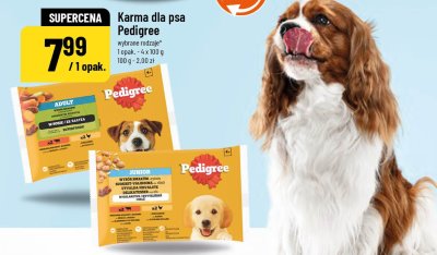 Karma dla psa Junior, wybrane rodzaje promocja w POLOmarket