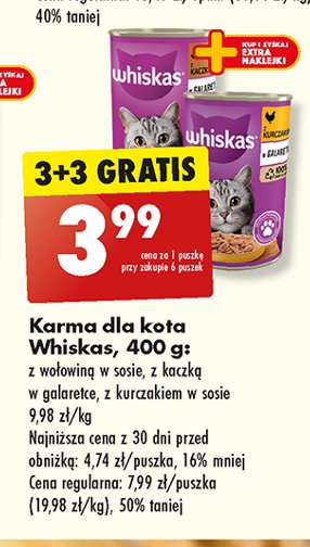 Karma dla kota kaczka i marchewka Whiskas promocja