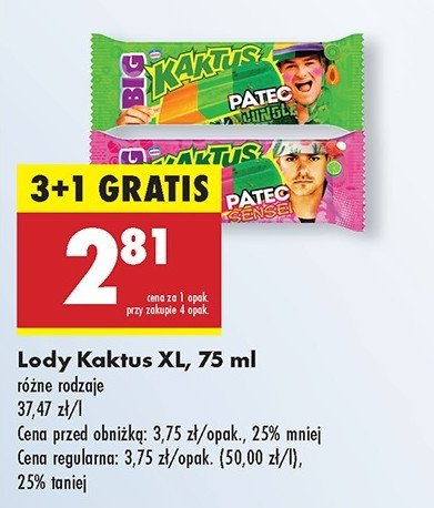 Lód patec jungle Nestle kaktus promocja